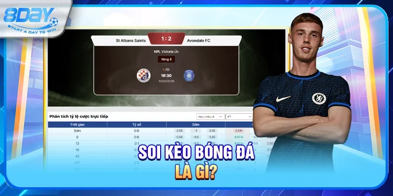 Soi kèo bóng đá là gì? 