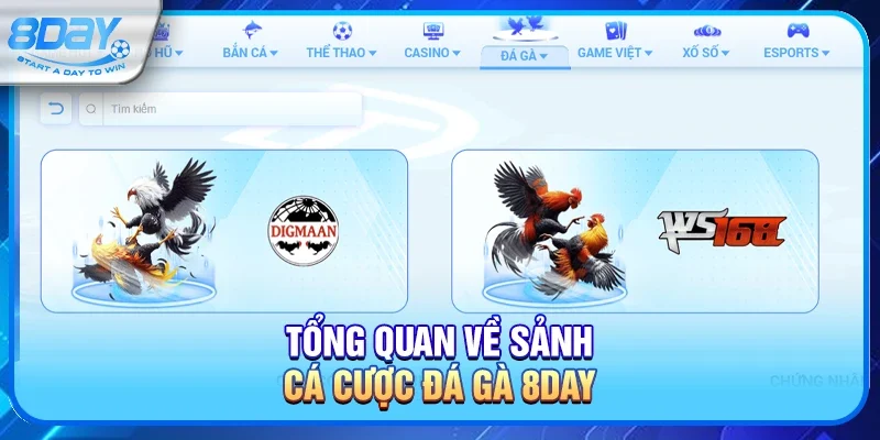 Tổng quan về sảnh cá cược đá gà 8day